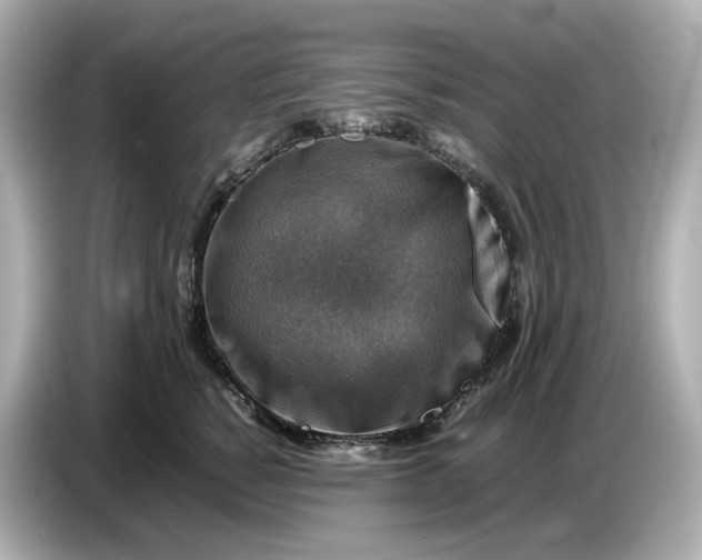 X0000087010760200704301417