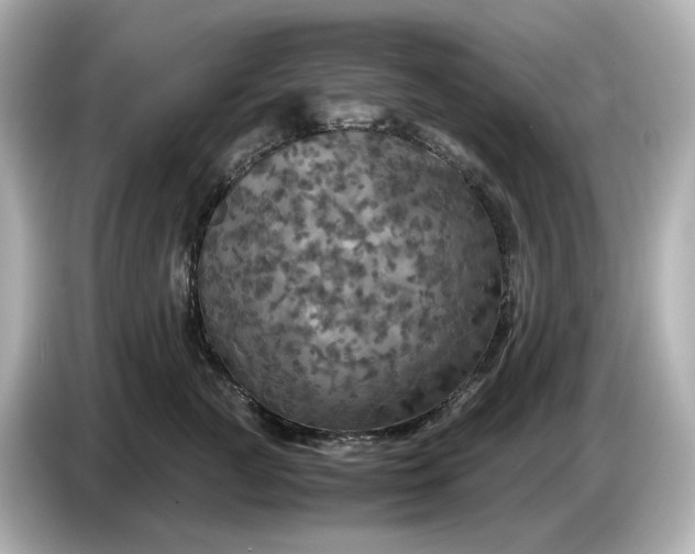 X0000087010761200704301417