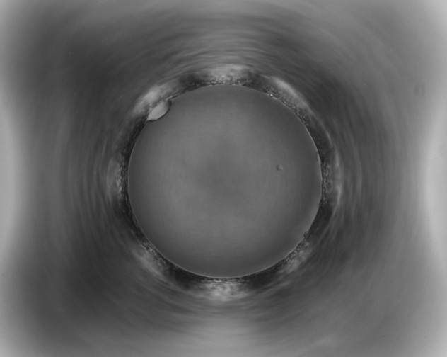 X0000087010762200704301417