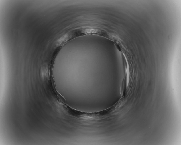 X0000087010763200704301417