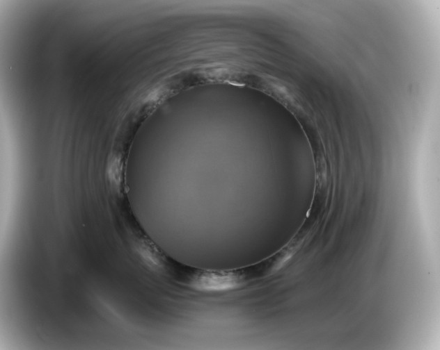 X0000087010767200704301417