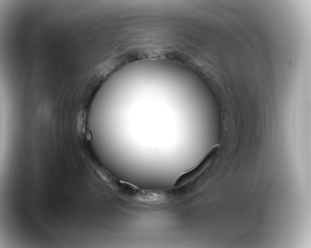 X0000087010768200704301417