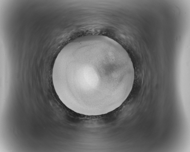 X0000087010769200704301417