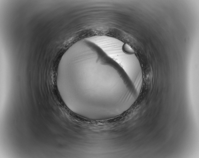 X0000087010772200704301417