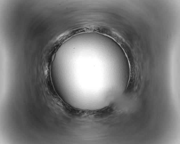 X0000087010773200704301417