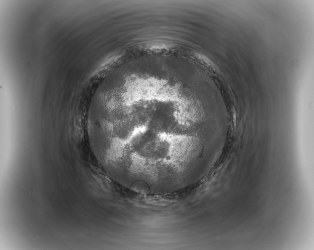 X0000087010774200704301417