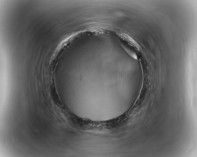 X0000087010775200704301417