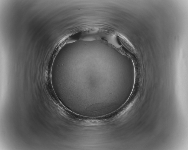 X0000087010777200704301417