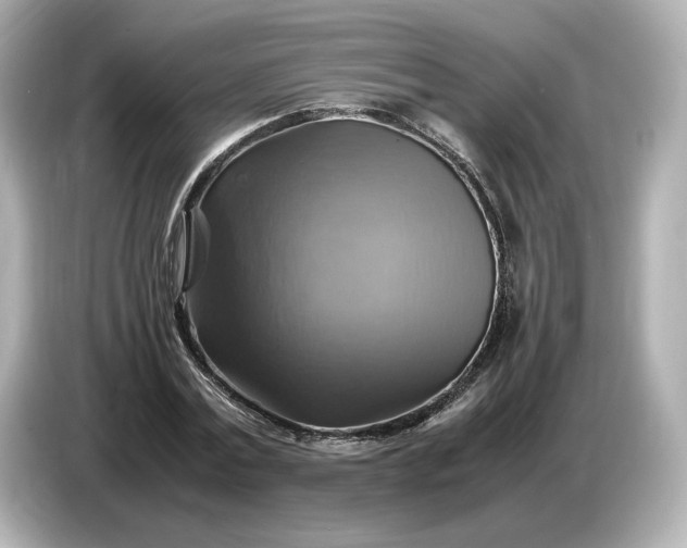 X0000087010779200704301417