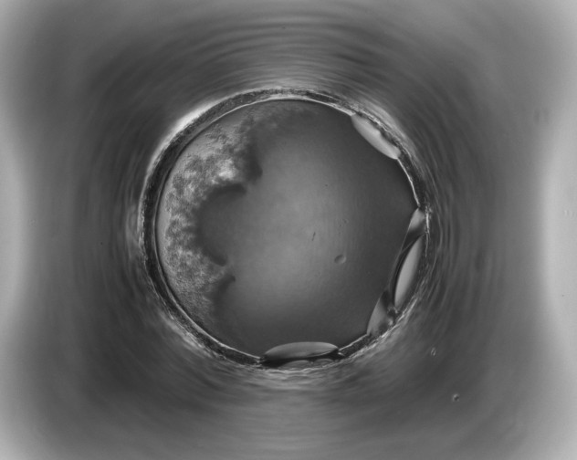 X0000087010780200704301417