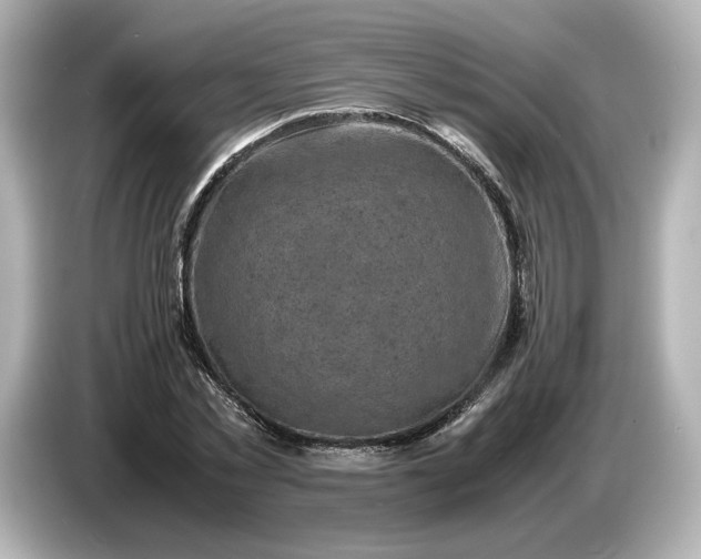 X0000087010781200704301417