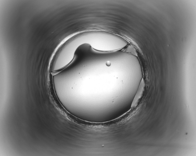 X0000087010784200704301417