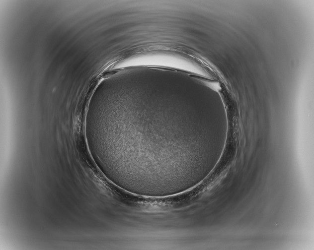 X0000087010785200704301417