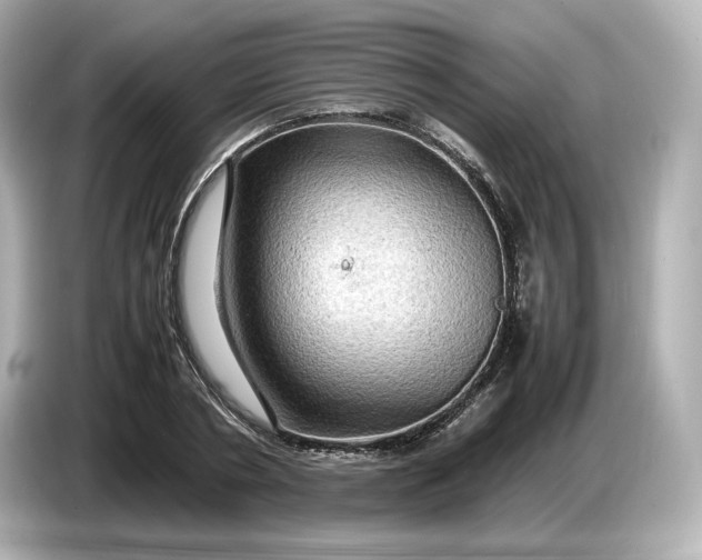 X0000087010786200704301417