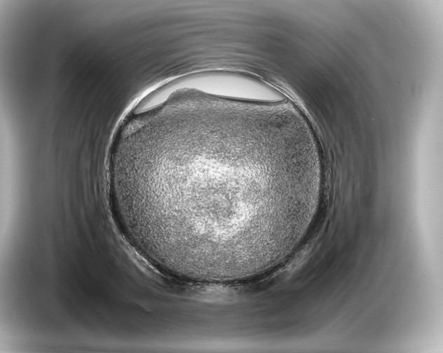 X0000087010787200704301417