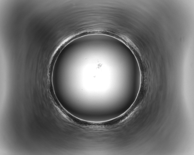 X0000087010789200704301417