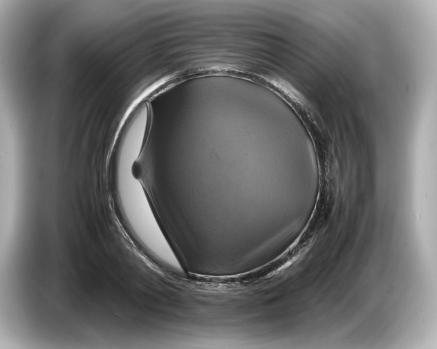 X0000087010790200704301417