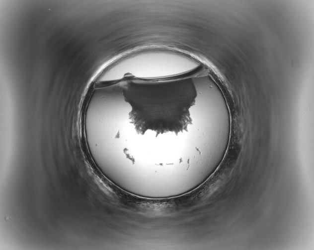 X0000087010791200704301417