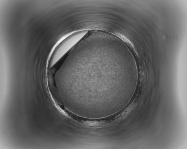 X0000087010792200704301417