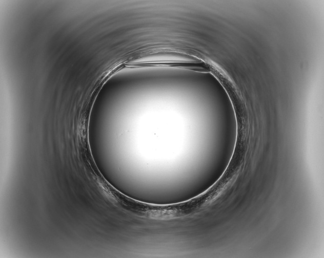 X0000087010793200704301417