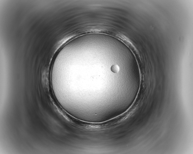 X0000087010794200704301417