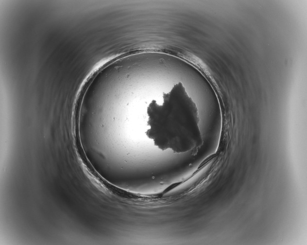 X0000087010795200704301417