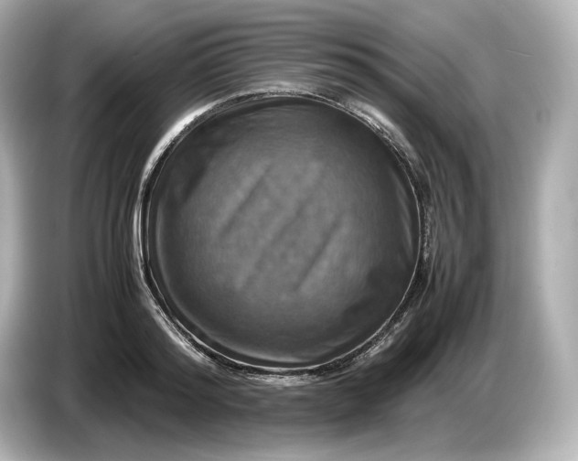 X0000087010796200704301417