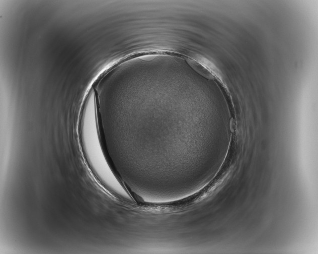 X0000087010797200704301417