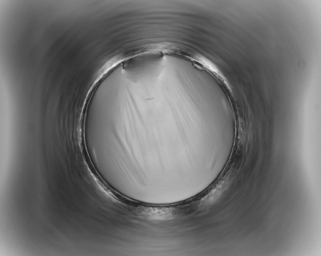 X0000087010802200704301416