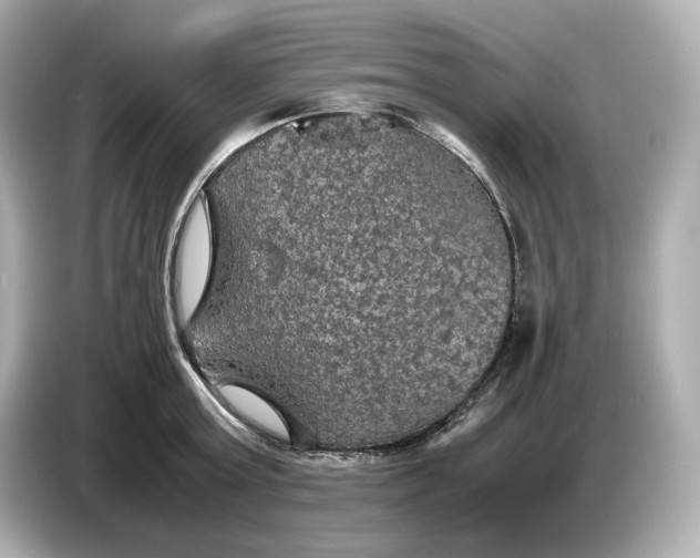 X0000087010803200704301416