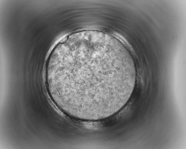 X0000087010804200704301416