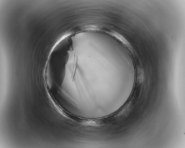 X0000087010806200704301416