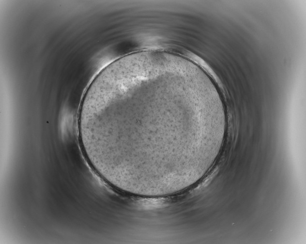 X0000087010810200704301416