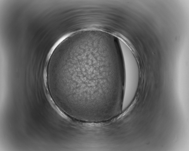 X0000087010812200704301416