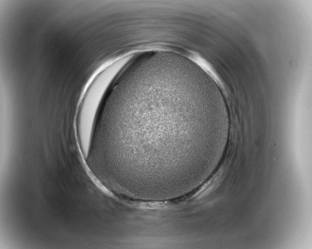 X0000087010813200704301416