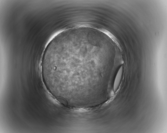 X0000087010814200704301416