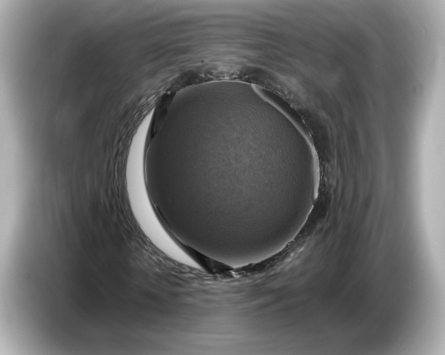 X0000087010818200704301416