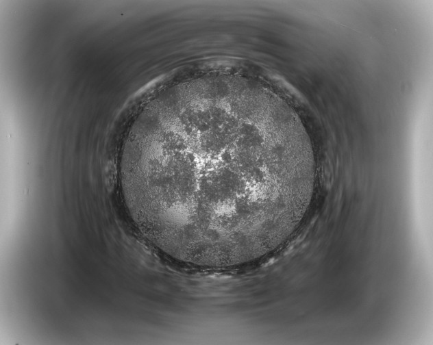 X0000087010821200704301416