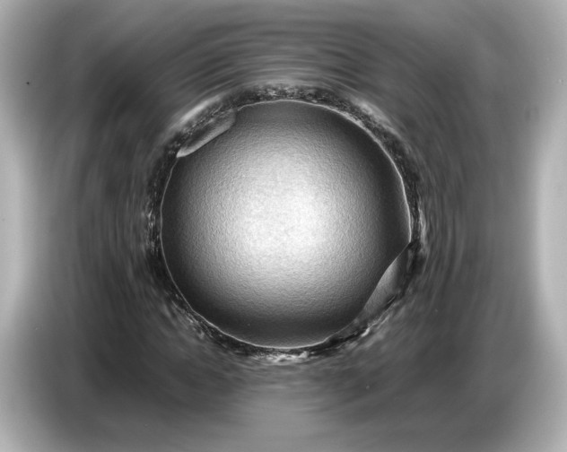 X0000087010822200704301416