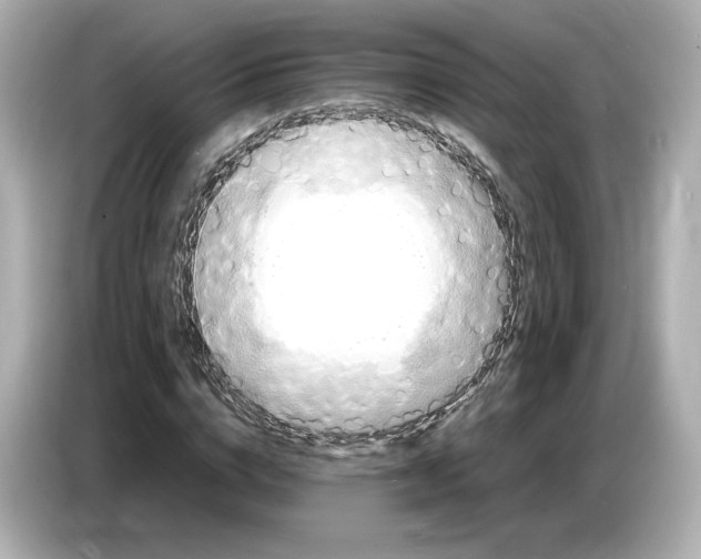 X0000087010824200704301416