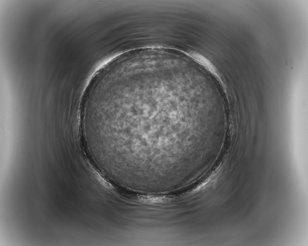 X0000087010831200704301416