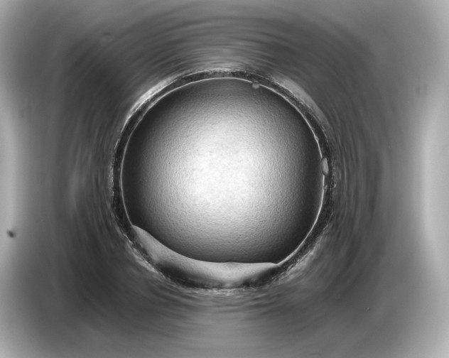 X0000087010834200704301416