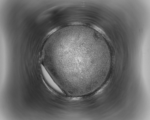 X0000087010841200704301416