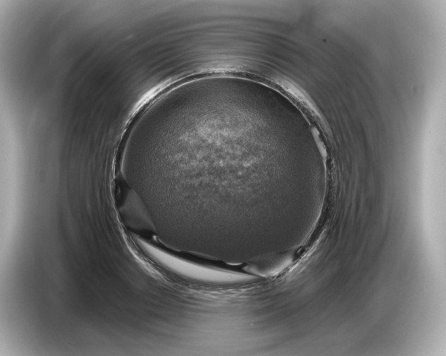 X0000087010842200704301416