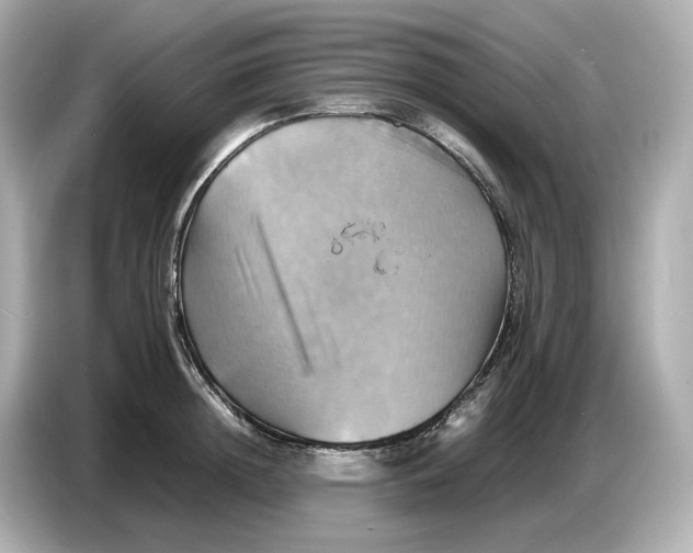 X0000087010852200704301416