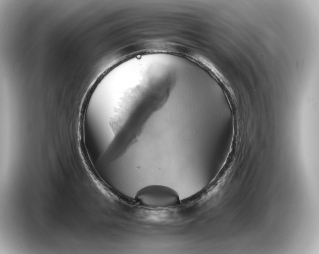 X0000087010853200704301416