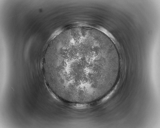 X0000087010857200704301416