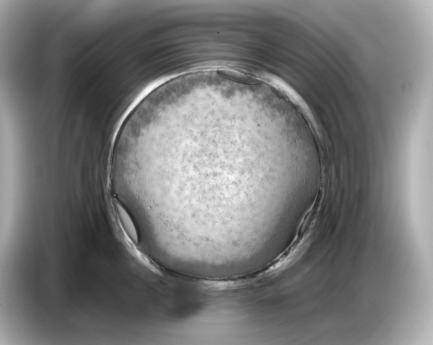 X0000087010860200704301416