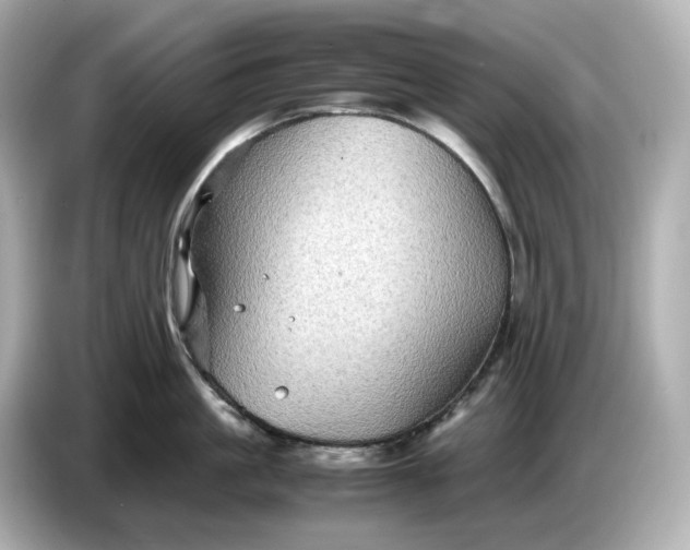 X0000087010861200704301416