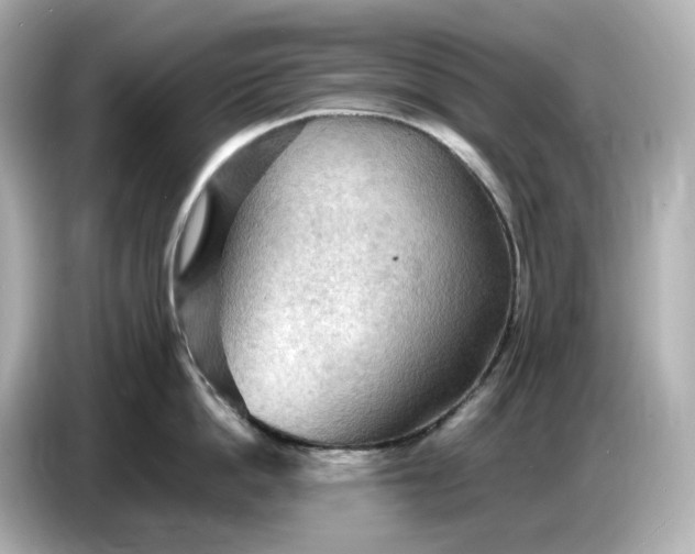 X0000087010862200704301416